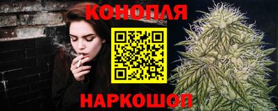 гидропоника Можайск