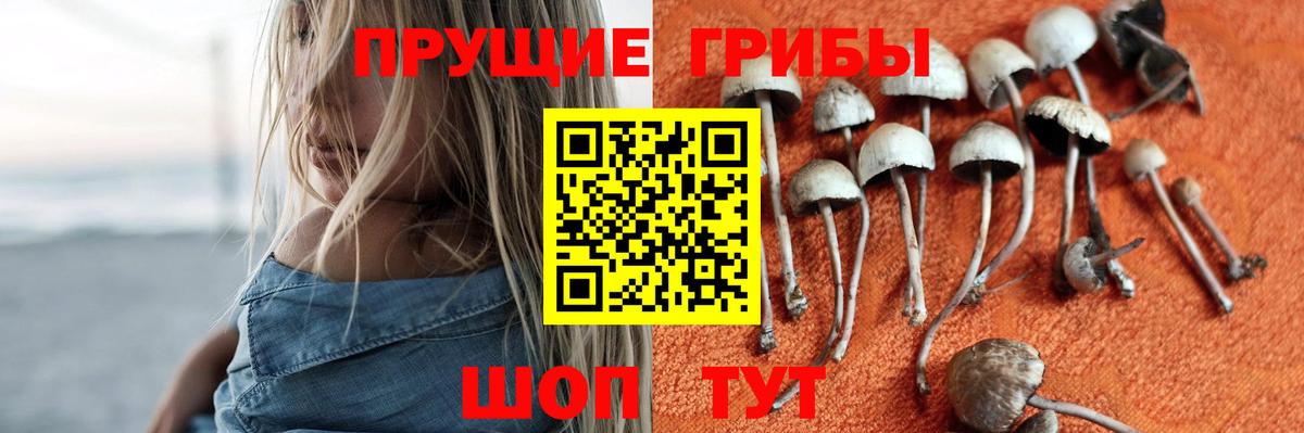 Южноуральск  Псилоцибиновые грибы Psilocybine cubensis  Псилоцибиновые грибы Psilocybine cubensis  Вход с VPN 